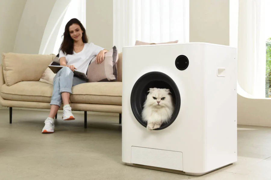 automatic cat boxes